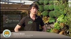 Comment créer et mettre en place un jardin zen?